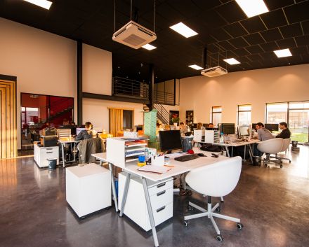 People Sitting on Chairs Beside their Desks in an office